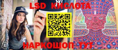 ПСИЛОЦИБИНОВЫЕ ГРИБЫ Славгород